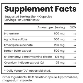 B4 v2 Capsules - 20 Servings - Natural Social Nootropic Supplement