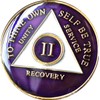 31 Year AA Medallion Metallic Purple Tri-Plate Sobriety Chip