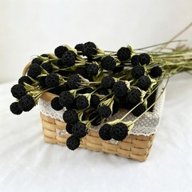 30Pcs Natural Black Dried Craspedia Billy Balls, Boho Dried Thistle Flowers