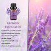 yethious 2 Pack Lavender Peppermint Essential Oil Set Organic 100%