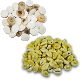 BRIJ HAAT Natural 30 Pcs gomati Chakra | 30 Pcs Yellow Kaudi, for Wealth, Health & Success