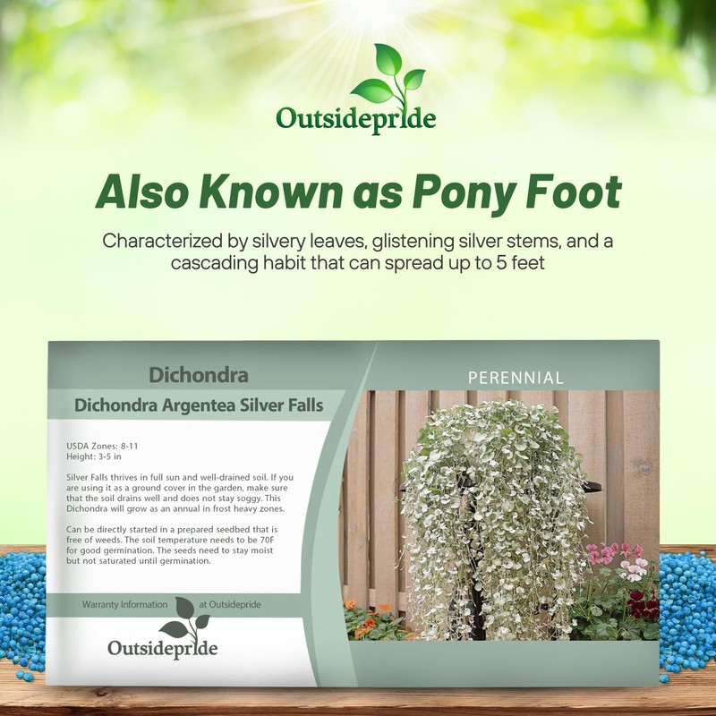 Outsidepride Perennial Dichondra Silver Falls Seed - 15 Pcs Heat