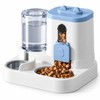 Automatic Cat Feeder and Water Dispenser for Daily Feeding –
