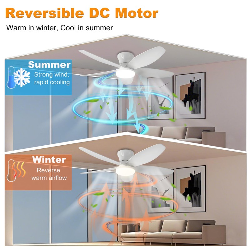 AYSEMO 36" Low Profile Ceiling Fan with Lights & Remote