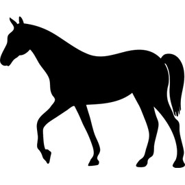 Horse Silhouette Vinyl Decal Sticker for Car/Window/Wall (White Gloss)