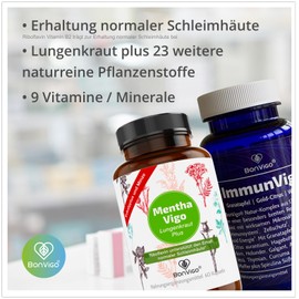 BonVigo®-Immun-Power 2x2 Dosen - Pflanzen-Komplex, Multivitamin und Minerale breit synergetisch wirkend - Vereint zwei der besten Rezepturen - Kupfer, Zink, Mangan u.a. für normales Immunsystem (2)