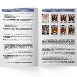 Ionic Cleanse Detox Foot Spa Explained. Regain Health & Vitality. Increase Your Sales and Foot Detox Sessions!