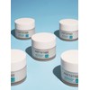 Phytotree Triple Whitening Tone-Up Cream 100ml / 피토트리 트리플 화이트닝