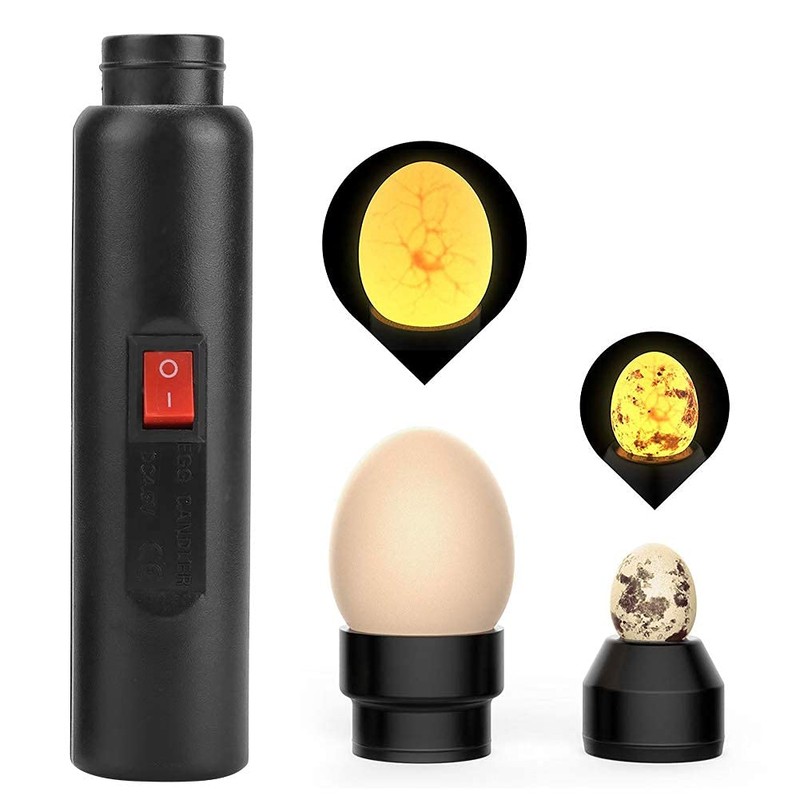 Fdit LED Light Lamp Farm Animal Eggs Sheer Incubator Lamp