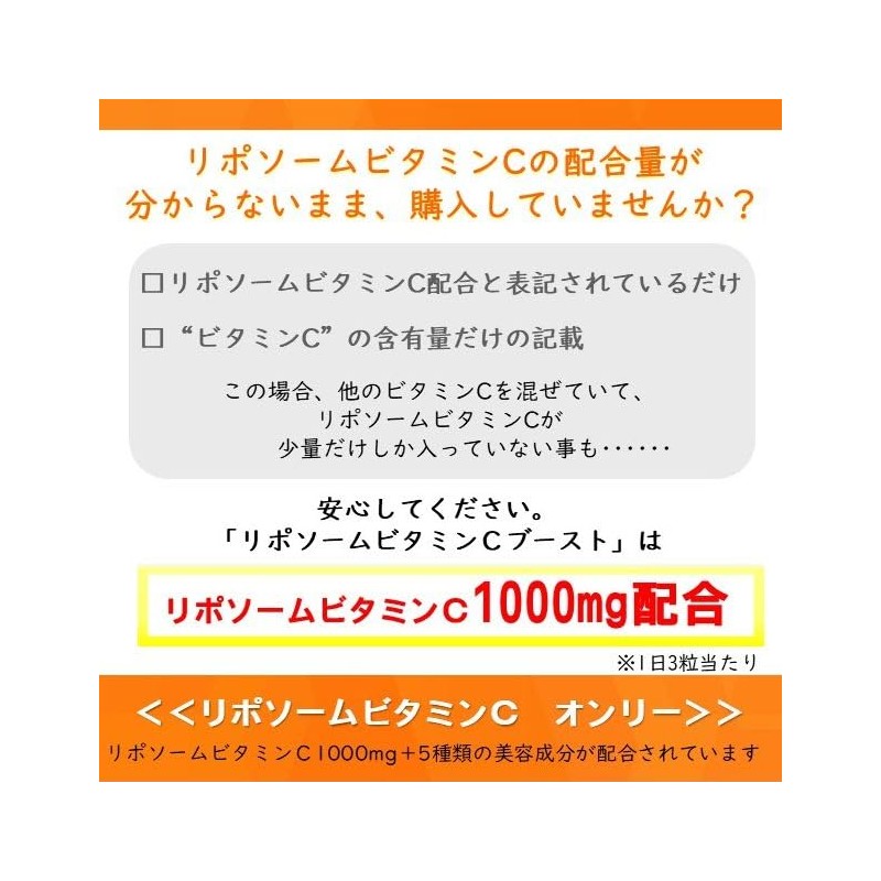 リポソームビタミンＣブースト 90粒 リポソームビタミンＣだけに特化 1000mg配合 30日分 国内製造
