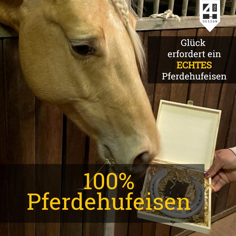 4you Design Real Horseshoe in Wooden Gift Box Farewell with