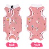 2 PCS Cat Recovery Suit for Spay Abdominal Wounds, Cat