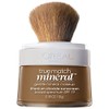 LOréal Paris True Match - Base mineral en polvo suelto,