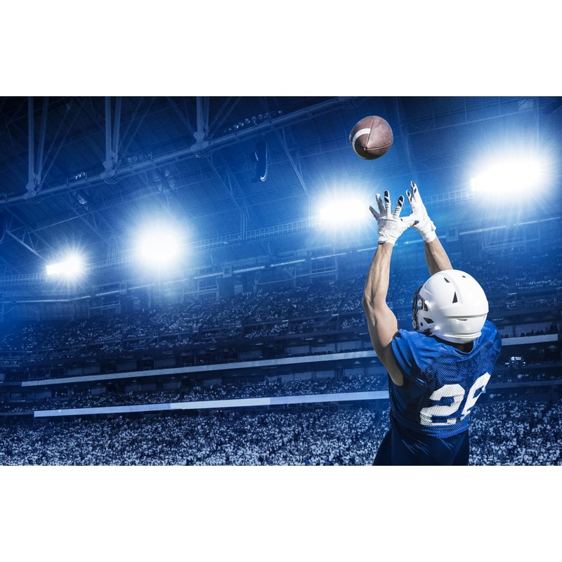 Stealth Padded Football Lineman Gloves – White, Battle College Lineman,