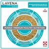 Purina Layena | Nutritionally Complete Layer Hen Feed Crumbles -