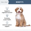 Chew + Heal Labs Senior Dog Vision and Cognition Chews
