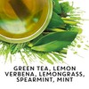 TAZO Tea Bags, Regenerative Organic: Refresh Mint Herbal Tea, Zen