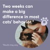 BUDDYJOY Cat Calming Diffuser Refills – Long-Lasting 30-Day Formula with