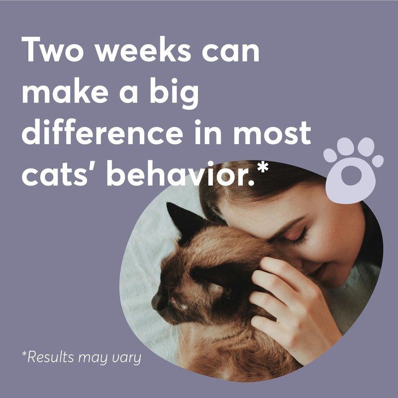 BUDDYJOY Cat Calming Diffuser Refills – Long-Lasting 30-Day Formula with