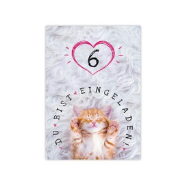 Minkocards 12 Invitations for 6th Children's Birthday Girls Cat Invitations for Sixth Girls Birthday Invitations