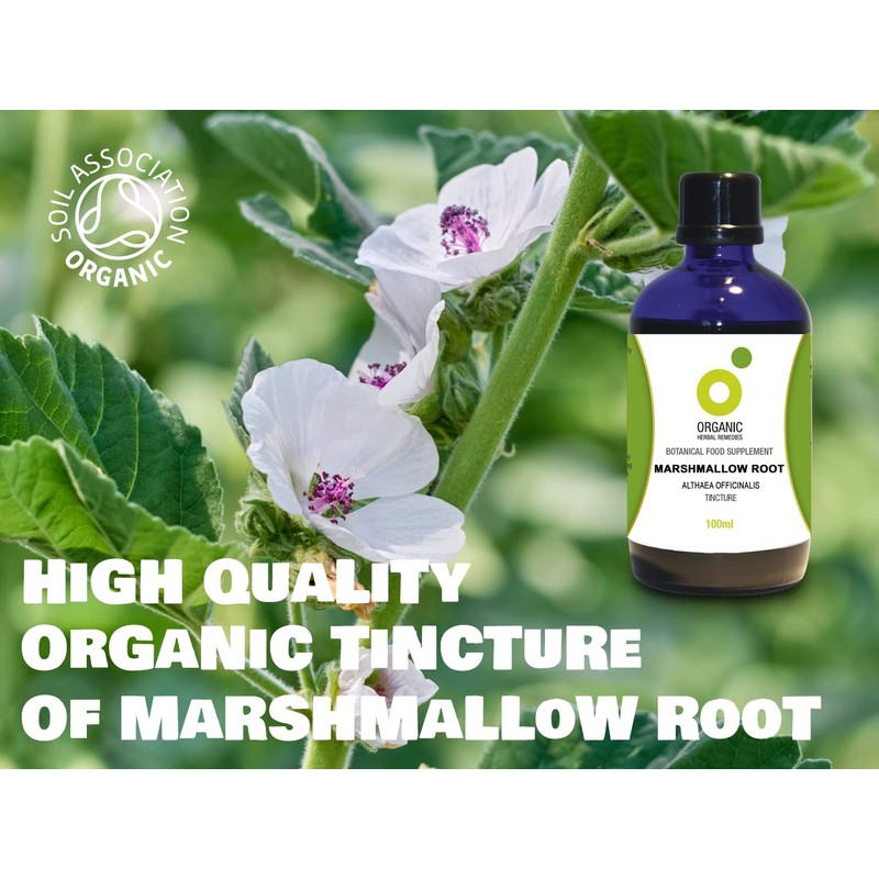 Organic Herbal Remedies Marshmallow Root Tincture, 100 ml