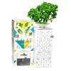 Dresden Onlineshop Bottlecrop Salad from the Bottle, Cultivation System, Urban