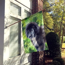 Caroline's Treasures BB9873CHF Newfoundland Puppy St Patrick's Decorative Canvas Outdoor Flag, House Size, Multicolor