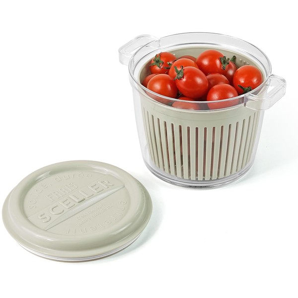 carrotez Fruit Containers for Fridge Lettuce Keeper for Refrigerator Fresh