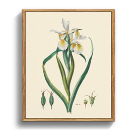 crmotu Botanical Framed Wall Art, Iris Floral Vintage Art Decor Room Aesthetic, Nature Plant Canvas Print Art, Farmhouse Still Life Painting Wall Decor for Bedroom Bathroom Office, 8x10inch