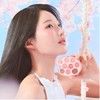 Daisyque (현대Hmall)데이지크 핑크블라썸 컬렉션 섀도우 팔레트 (Daizique) Pink Blossom Collection