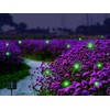 Wskvlcg Outdoor Solar Powered Firefly Lights Bugs with 9 Bee,