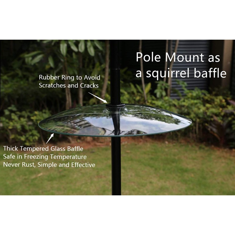 13 1/2 Inch Clear Glass Two-Way Squirrel Baffle and Weather