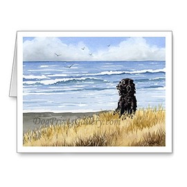 DJ Rogers Fine Art Boykin Spaniel at the Beach - Set of 10 Watercolor Note Cards With Envelopes