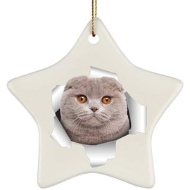 Funny Scottish Fold Cat Cream Blue Coming Out of Cracked Wall Gifts 2024 Christmas Tree Ornaments Ceramic Star