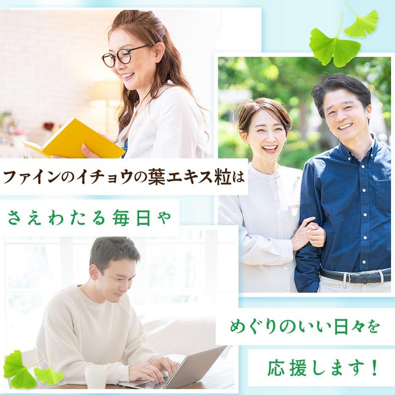 ファイン(FINE JAPAN) ファイン イチョウ葉 イチョウの葉エキス粒 400粒入 無臭ニンニクエキス ビタミンB1 B2 B6