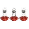 Birds Choice Best-1 16oz. Hummingbird Feeder (Pack of 3)