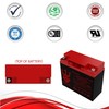 Neptune 12V 22Ah NT-12220 Rechargeable SLA Sealed Lead Acid Battery