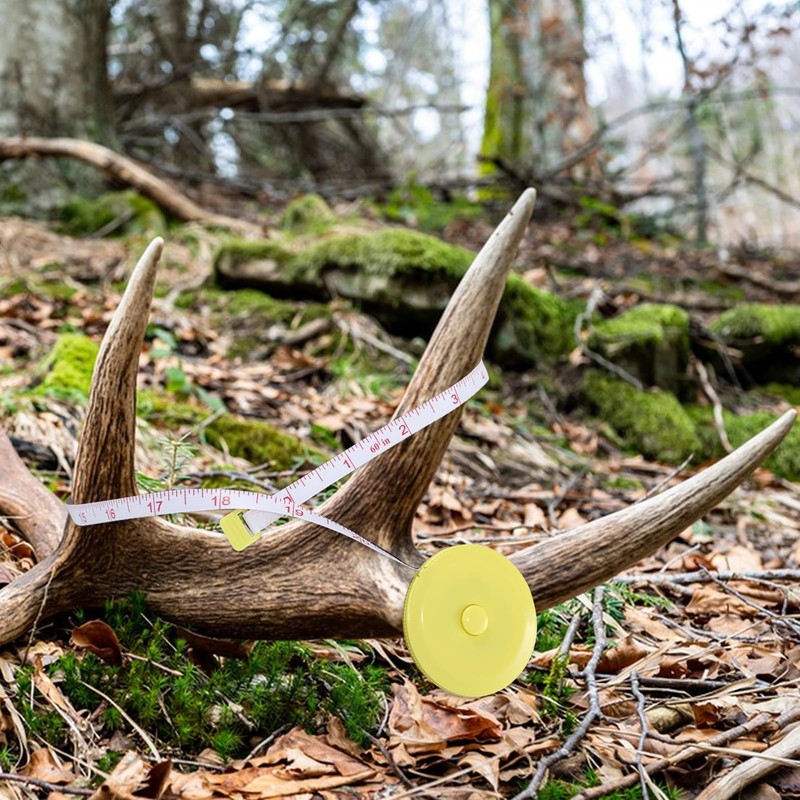 6 PCS Double Scale Antler Measuring Tapes for Deer and