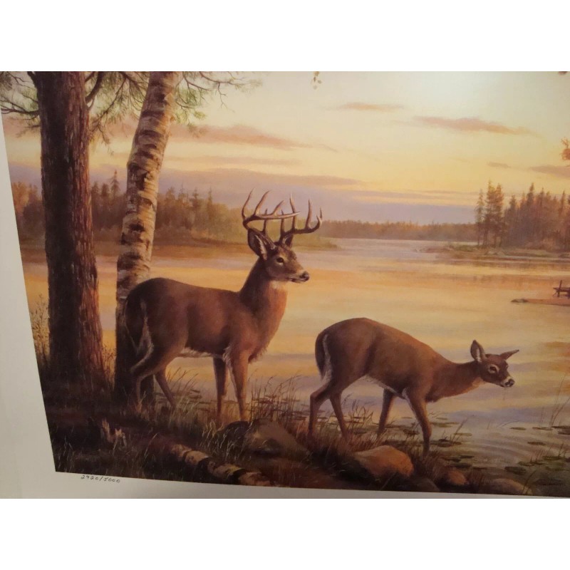 Mary Pettis Quiet Evening Whitetail Deer by Log Cabin Print