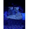 Eco-Sensa 100ml Water Sampling Bottles for Water Safety Test,Sterile,100/Case, Cat
