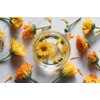 Calendula/Ringelblumen Tinktur 200ml