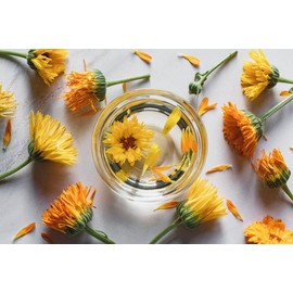 Calendula/Ringelblumen Tinktur 200ml