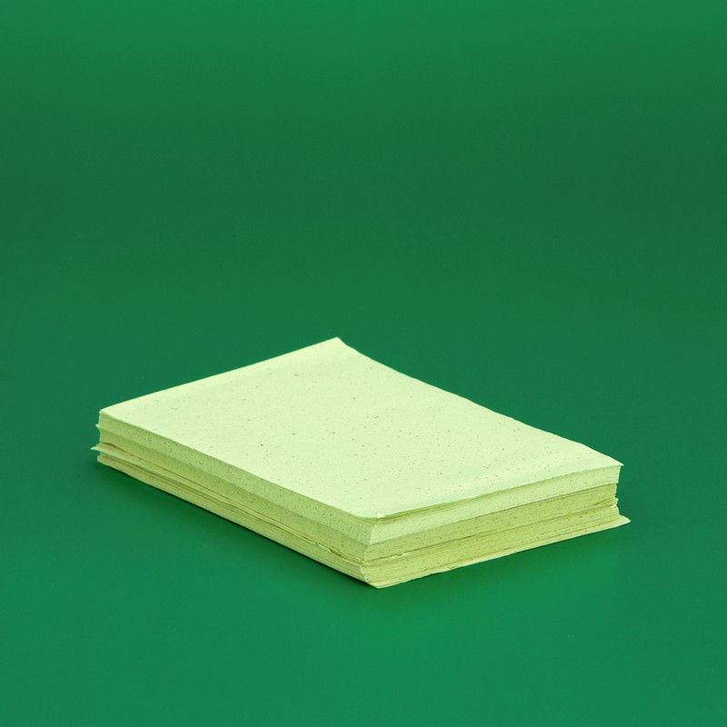 Nellic Daily Soft Green Tea Oil-Absorbing Sheets, 100 Sheets per