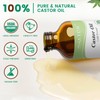 PHATOIL PHATOIL Frankincense Body Oil 8.8fl.oz and 8fl.oz Organic Cold