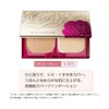 Coffret Doll Grand Foundation Cover-Fit Pact UV2 Ochre D SPF24/PA++