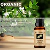 wuvezrub Myrtle Essential Oil for Diffuser Aromatherapy DIY Soap-10ml