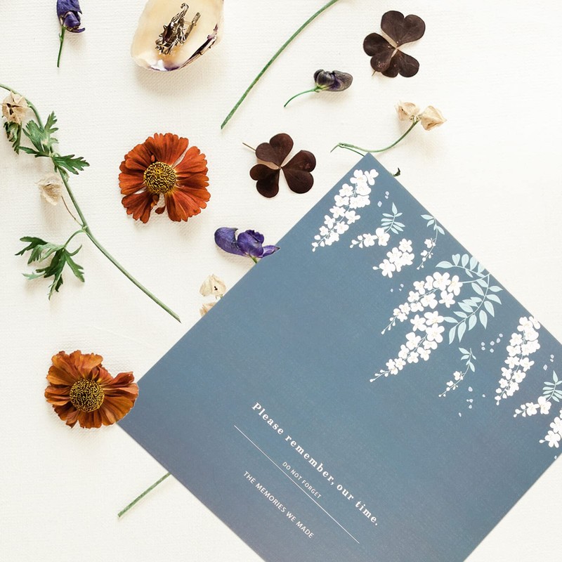 Alipis Dried Flower Storage Scrapbook Loose Leaf Album Leaf Embossing