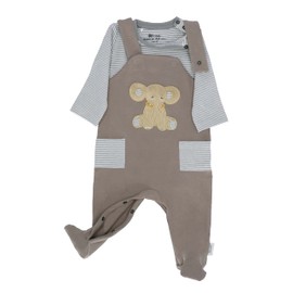 Sterntaler Unisex Baby Romper Set Jersey Elephant Eddy Toddler Pyjamas, gray