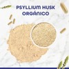 BULK SUPERFOODS Psyllium Husk 100 Natural Suplemento Alimenticio