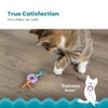 Petstages Dental Kitty - Juguete para Gatos